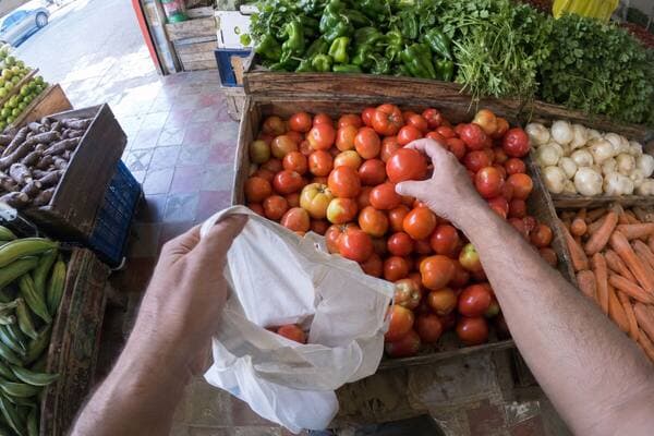 First-person view: pick fresh produce